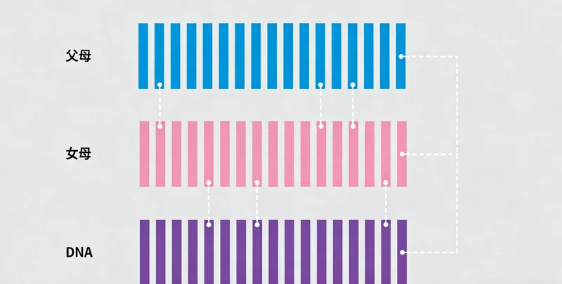 奈曼遗传咨询师与家庭面对面沟通