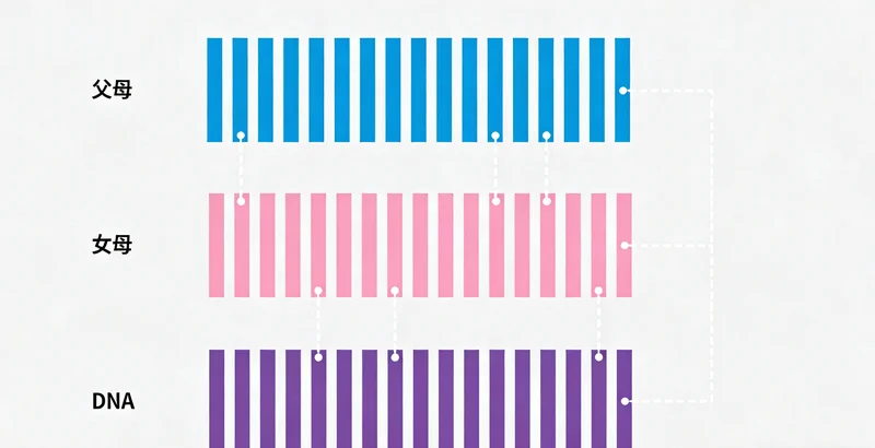 宜都遗传咨询解读报告场景