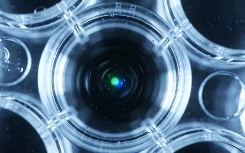 丹江口BRCA12基因检测中心汇总：主要机构名单