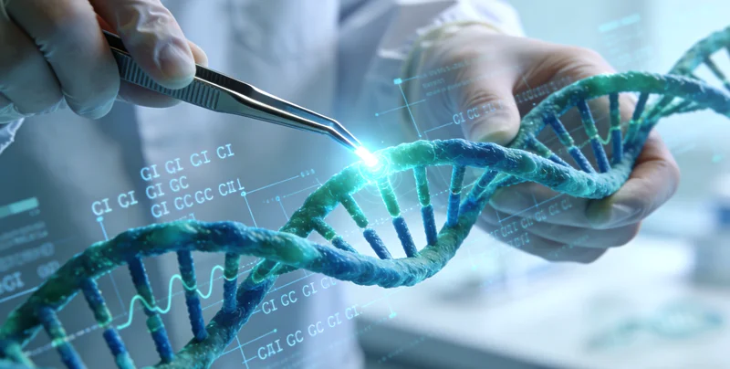 巴市医院病理科医生处理肺癌组织