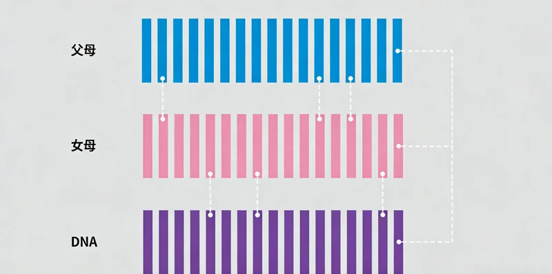 庆阳家庭亲子共同进行健康户外活