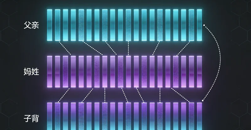 信宜DCM患者家庭进行健康管理