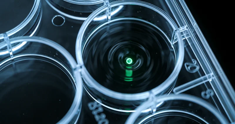 漠河冬日家庭与儿童健康希望