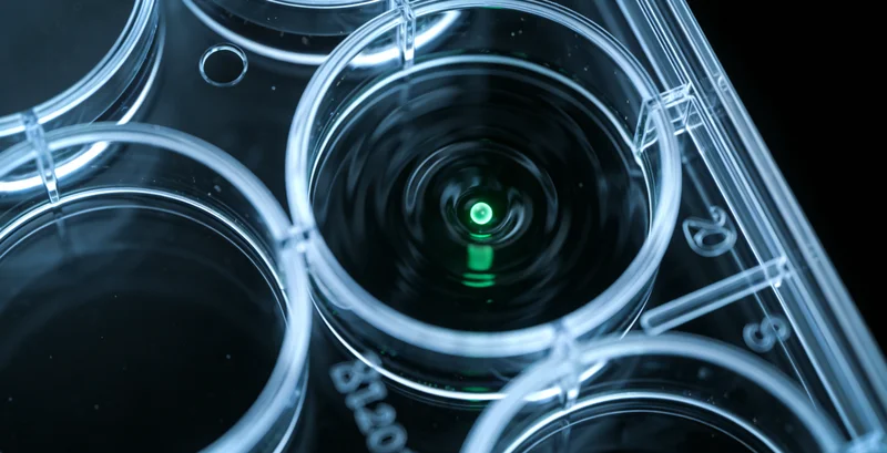 额济纳旗居民健康生活与胃镜筛查