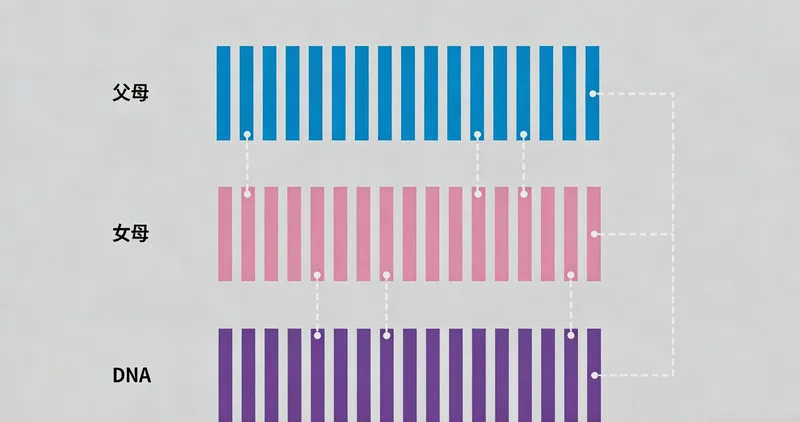 宿州遗传咨询门诊医生与患者沟通