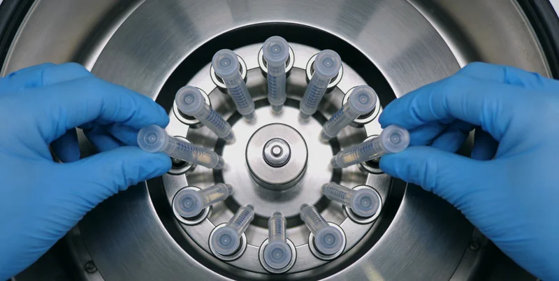 安宁家庭在安全指导下进行户外亲