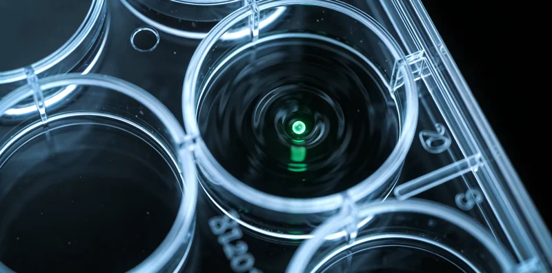 鄂州家庭陪伴孩子成长温馨场景