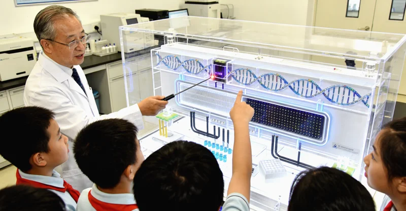 乌审旗家庭与医疗人员咨询神经鞘