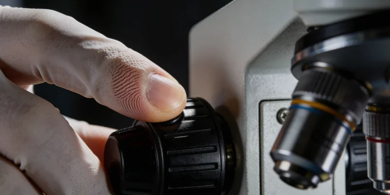 家族健康与基因遗传概念图