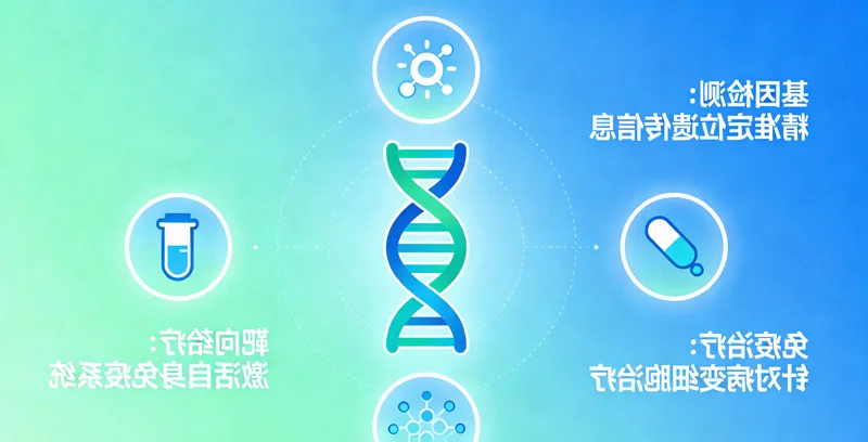 本地化示意 靶向药物作用于特定