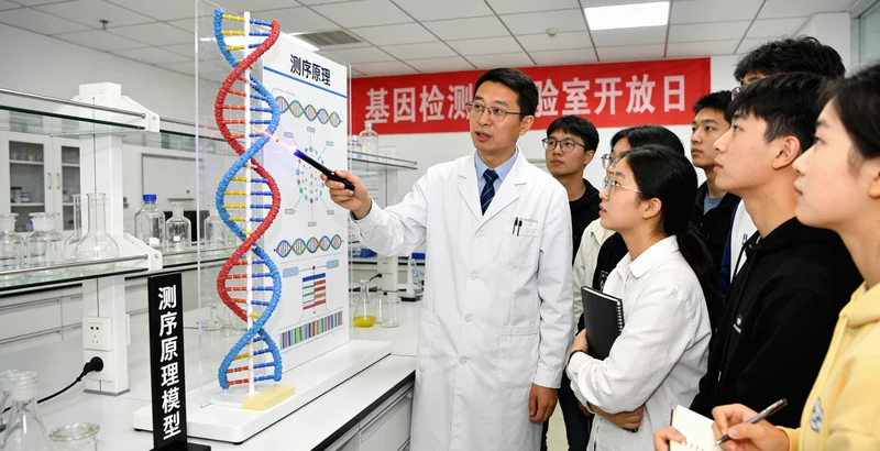 淮南基因检测科普之DNA结构示