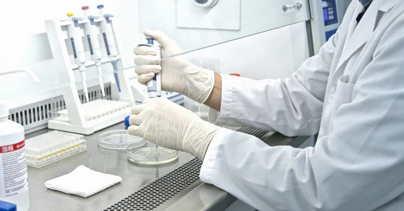 五常家庭户外散步支持陪伴