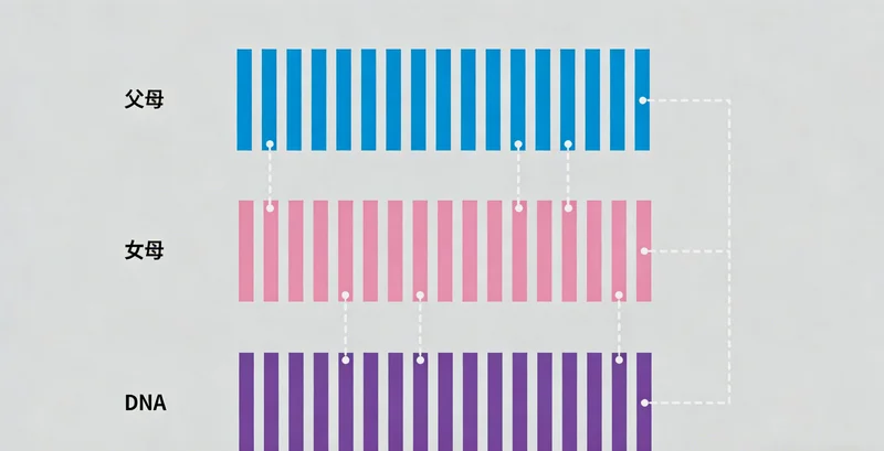 临夏LQT1患者健康生活家庭活