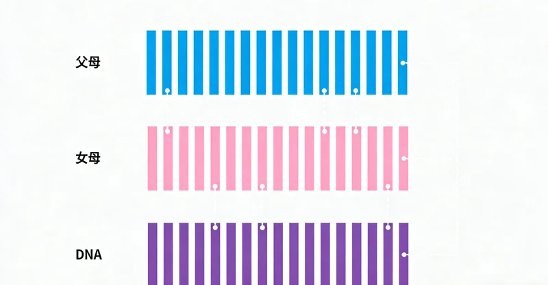 徐州家庭温馨沟通健康话题的场景