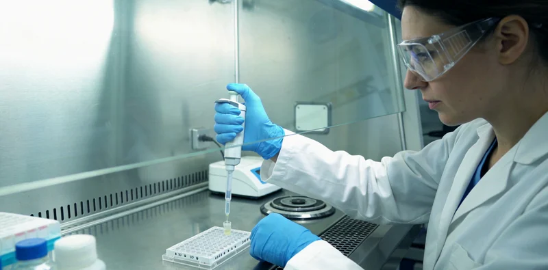 井冈山青少年在户外进行体育锻炼