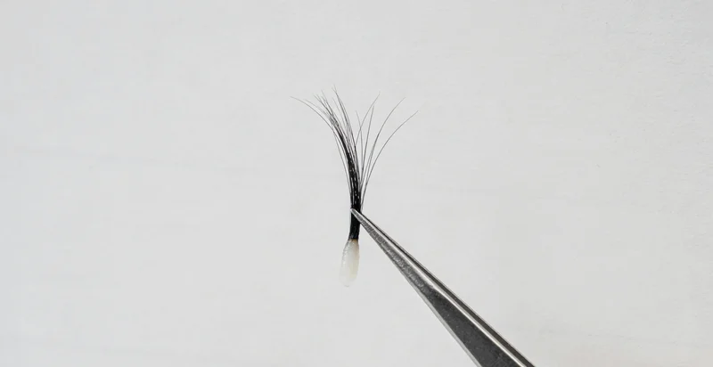 安顺城市黄昏温暖景色寓意希望