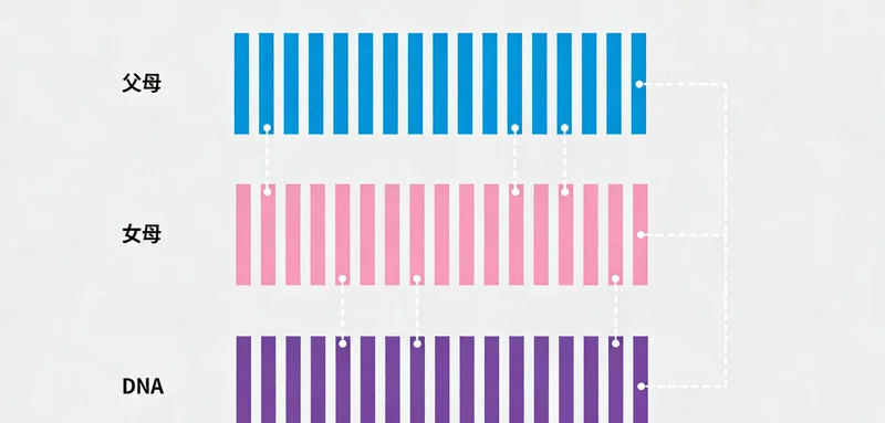 瑞安家庭咨询动脉瘤遗传风险场景