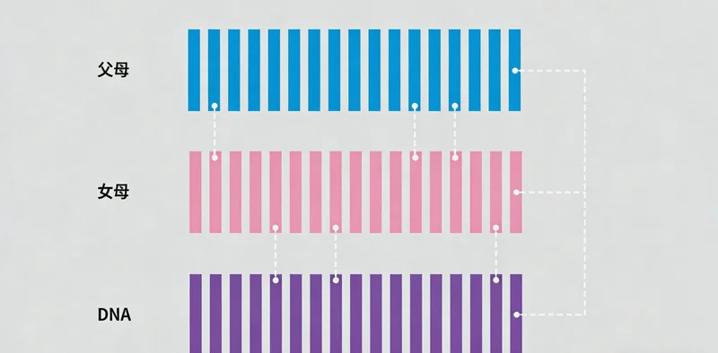 吕梁 Fabry病家系筛查 家