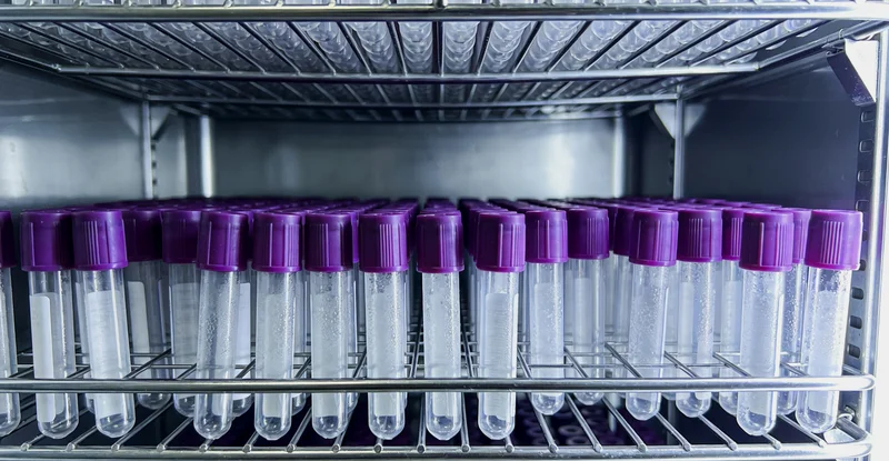 鄂尔多斯家庭健康饮食与运动管理