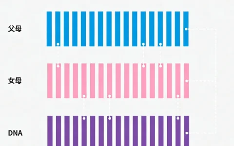 隆昌CDH1乳腺基因检测什么地方可以做？详细地址