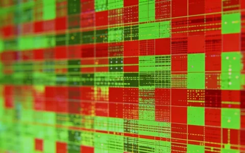 信宜TBX5基因检测严选靠谱中心一览：避坑攻略