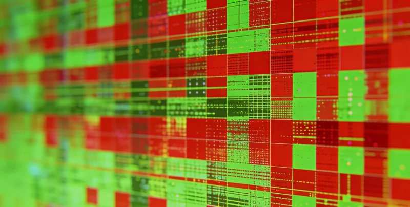 信宜遗传咨询师向家庭解释TBX