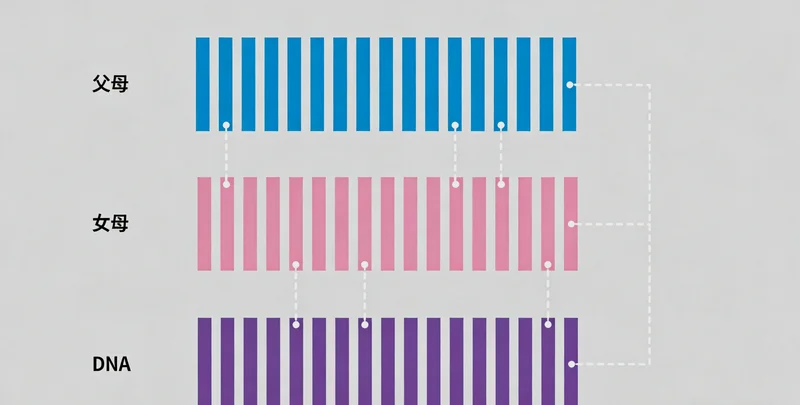 如皋遗传咨询门诊医生与患者交流