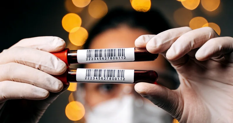 心脏心肌细胞连接结构示意图，展