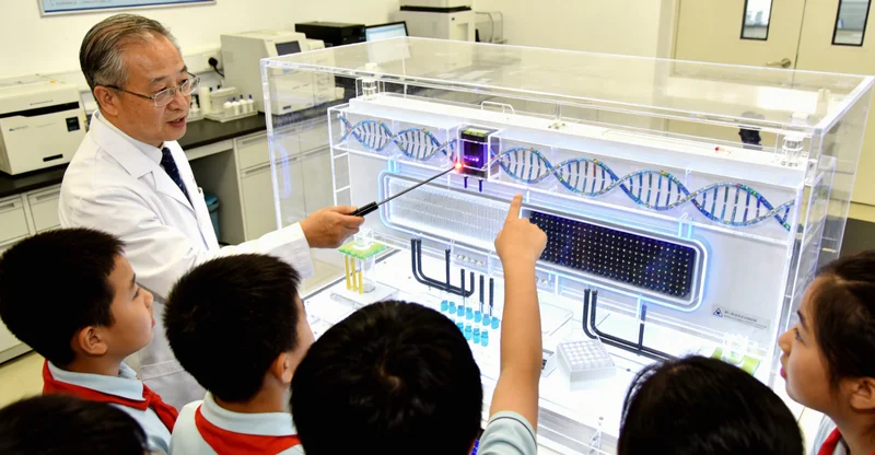 阜阳VHL携带者定期进行脑部磁