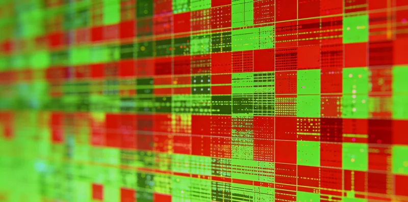 珠海家庭在讨论遗传健康与FH筛