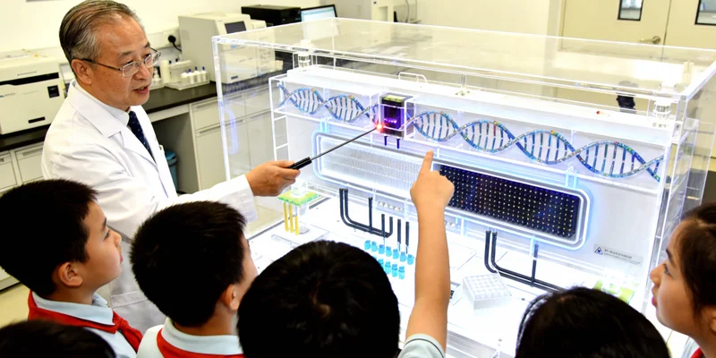 夕阳下的乳山海岸线与城市风光