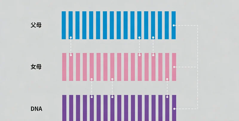 安康市区医疗机构外景参考