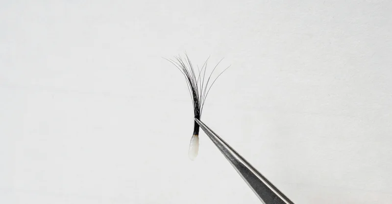 察右中旗家庭共同讨论健康管理与