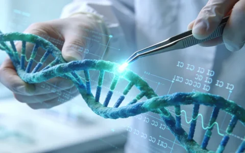 沅江MSI微卫星不稳定检测业务受理中心指南