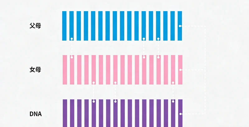 贵溪家庭进行健康监测与管理