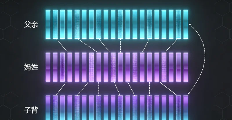 新余家庭健康管理与未来规划