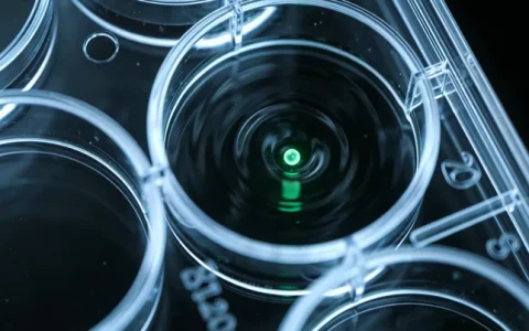 白山本地Bannayan-Riley-Ruvalcaba综合征基因检测公司Top 10推荐