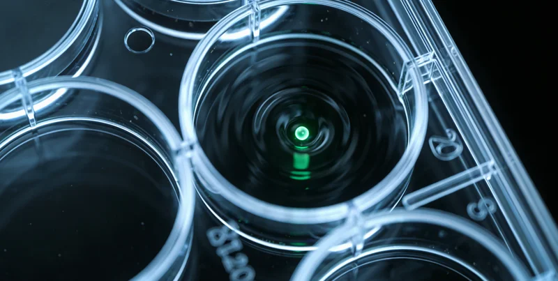 白山医院儿科医生为儿童测量头围