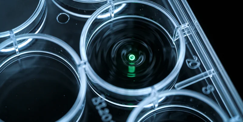 桐乡医生为儿童进行定期眼科筛查