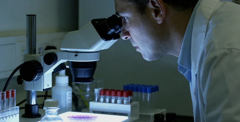 深圳家庭健康饮食与定期体检概念