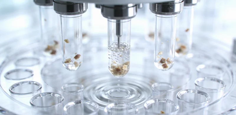 阿巴嘎旗草原上亲子携手走向未来