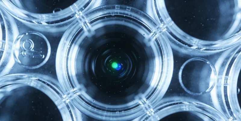 定州居民进行定期健康筛查预防管