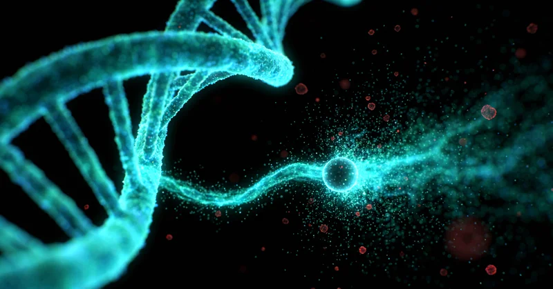 延安家庭享受健康安心生活