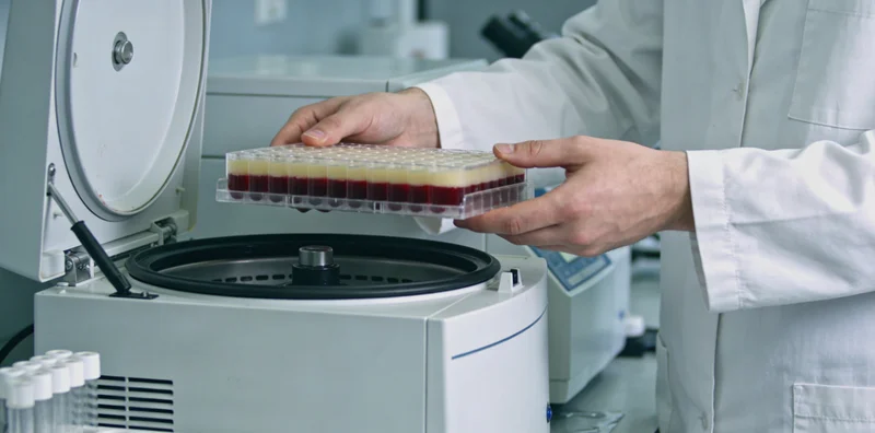 台州家庭在户外散步享受健康生活