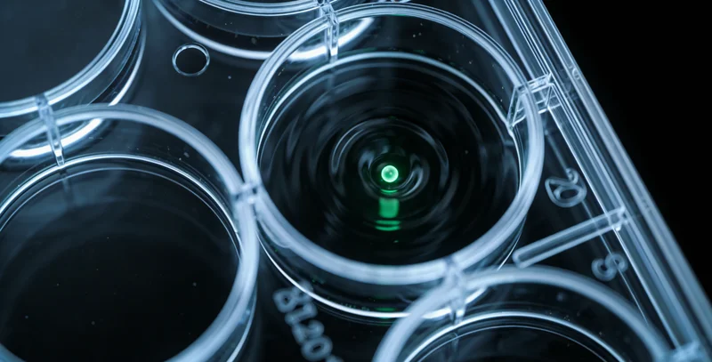 仙桃家庭在沔阳公园阳光下游玩，