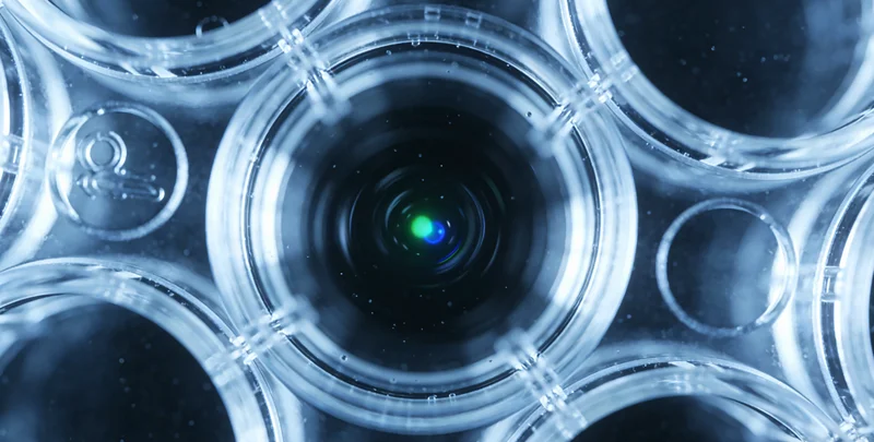 南阳女性进行定期乳腺健康检查