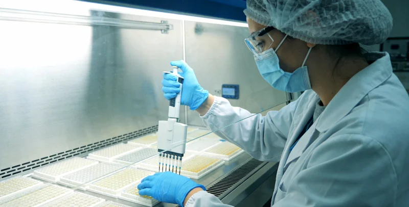 安达婴幼儿进行无痛抽血基因采样