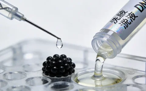 乌审旗预防性乳房切除基因检测公司综合排名