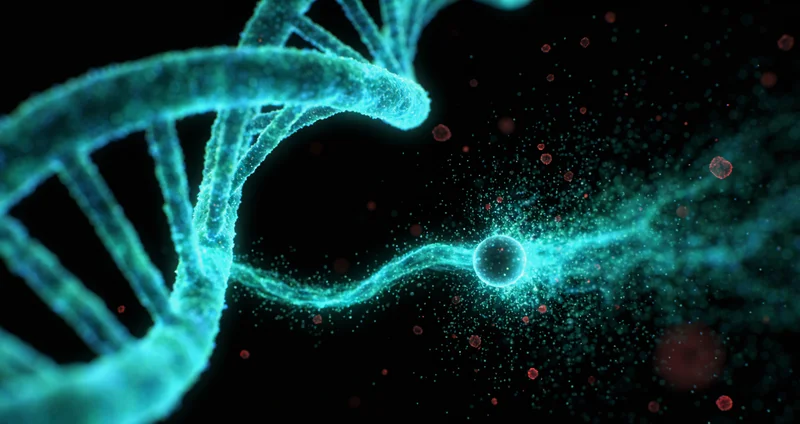 廉江家庭祖孙三代温馨交流