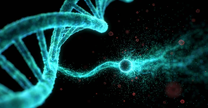 韶山健康监测 全身核磁共振检查
